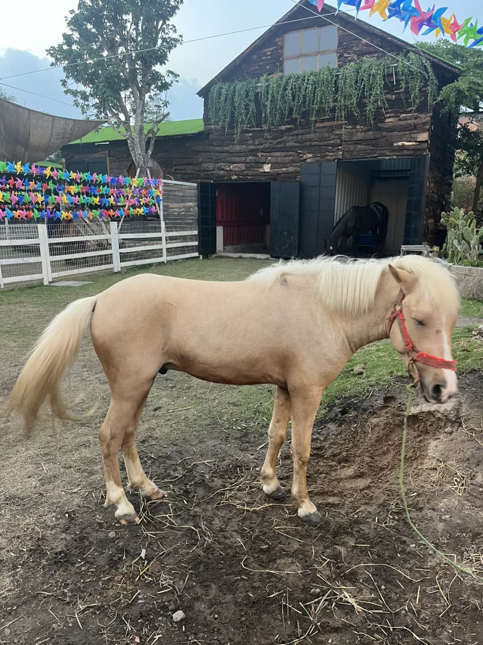 Góc check-in tại Ông Quan Farm